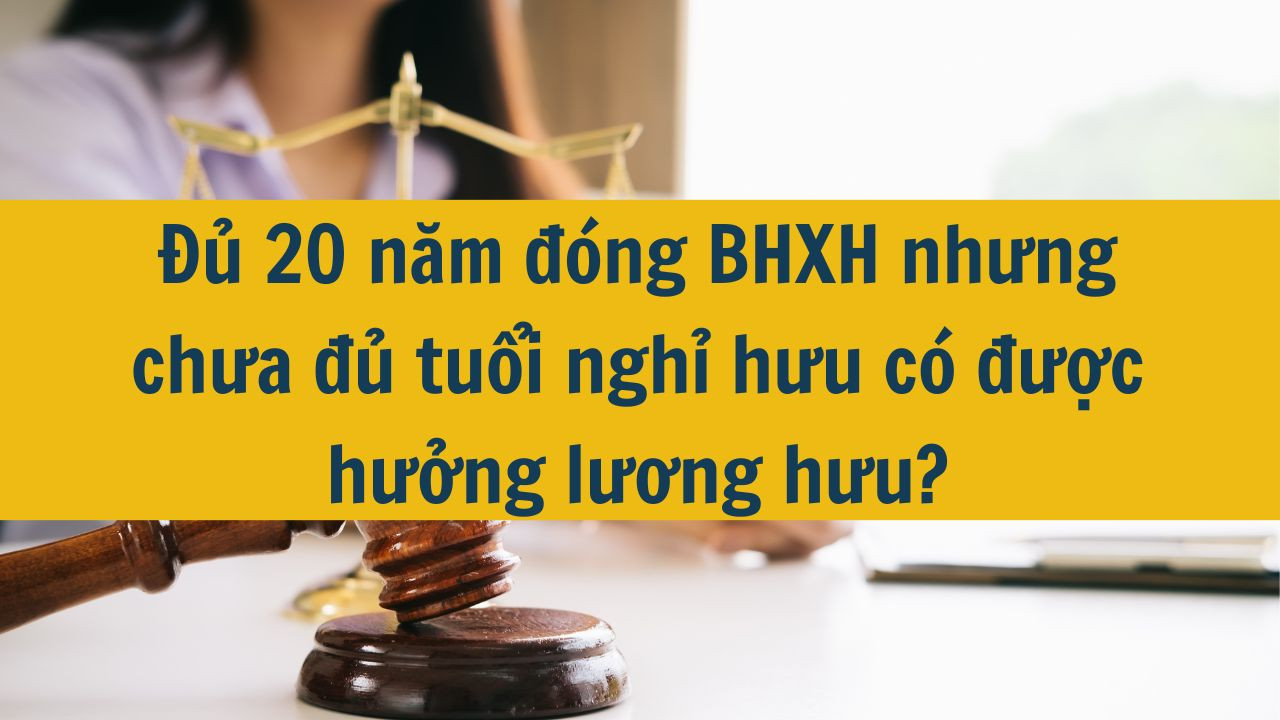 Đủ 20 năm đóng BHXH nhưng chưa đủ tuổi nghỉ hưu có được hưởng lương hưu?