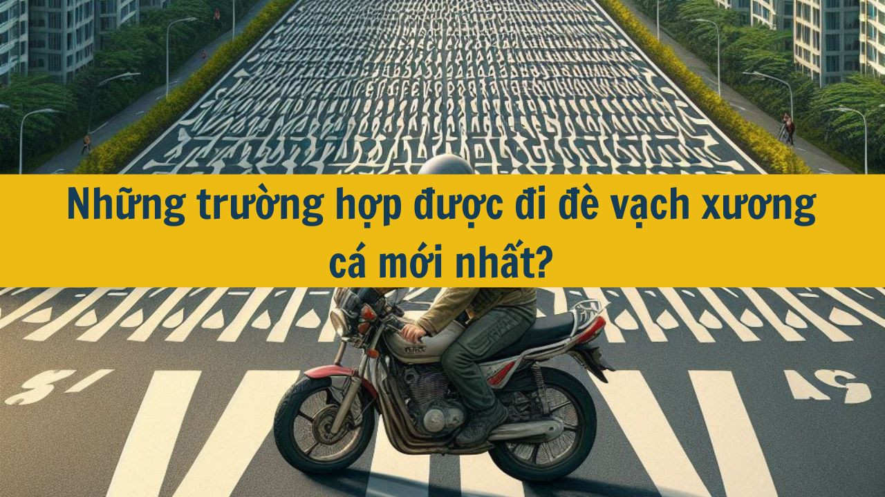 Những trường hợp được đi đ&egrave; vạch xương c&aacute; mới nhất
