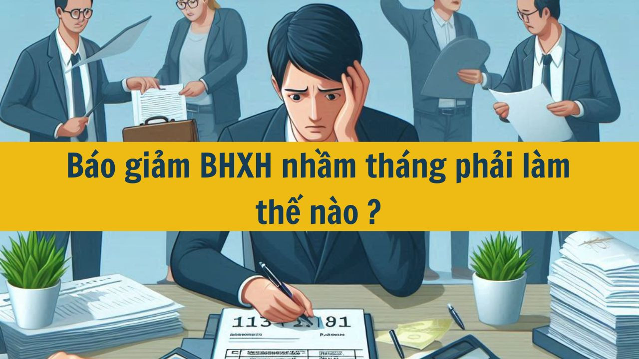 B&aacute;o giảm BHXH nhầm th&aacute;ng phải l&agrave;m thế n&agrave;o