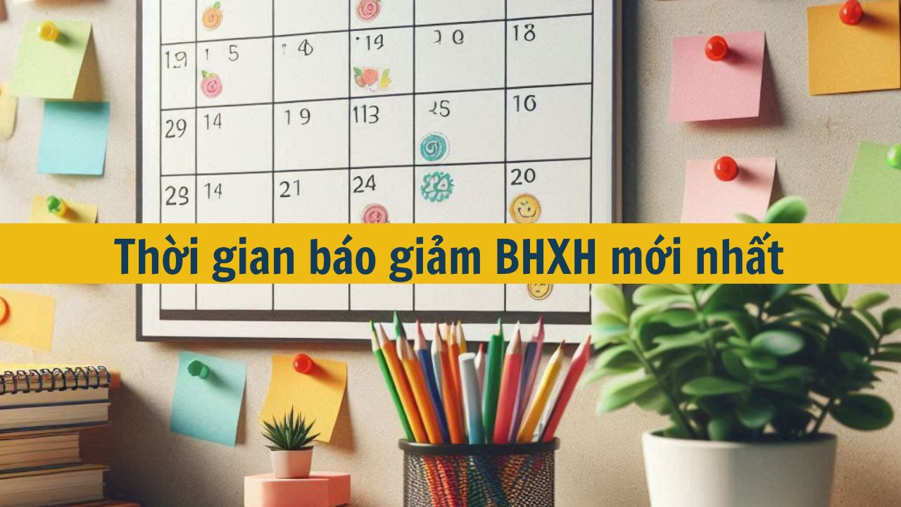 Thời gian b&aacute;o giảm BHXH mới nhất