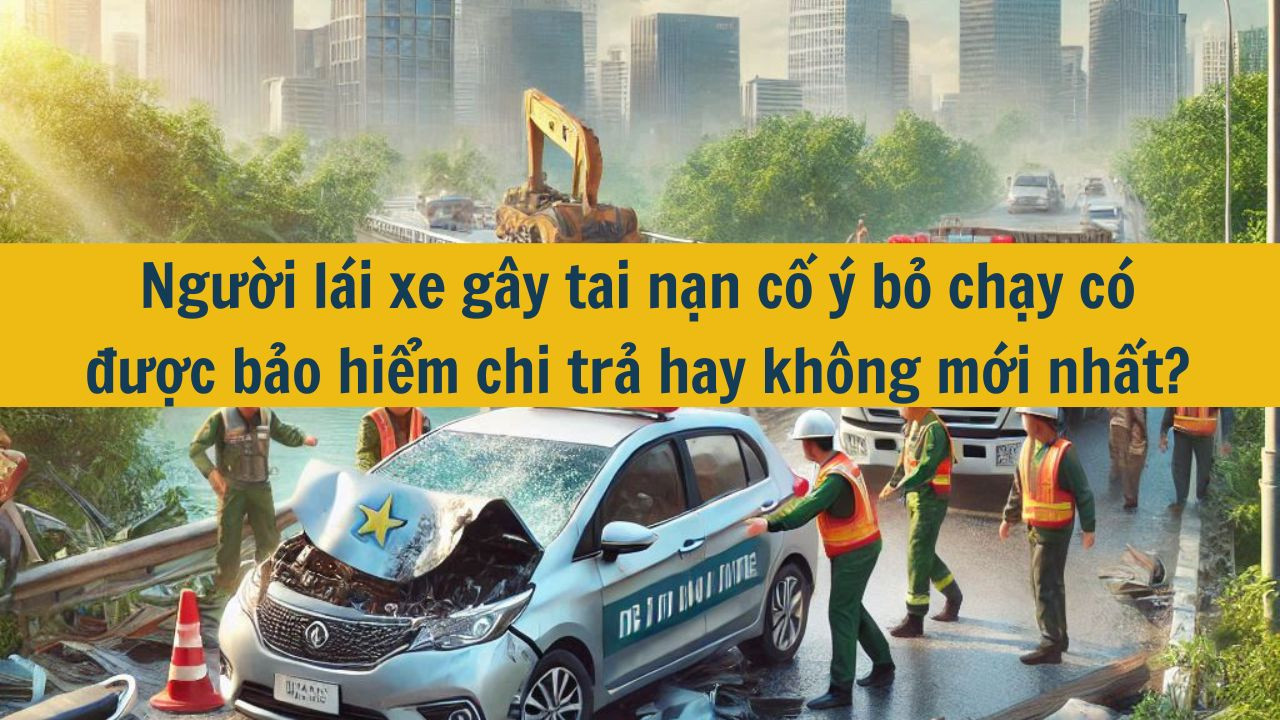 Người lái xe gây tai nạn cố ý bỏ chạy có được bảo hiểm chi trả hay không mới nhất