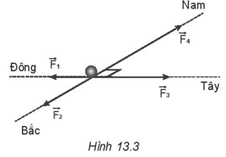 Sách bài tập Vật lí 10 Bài 13 (Kết nối tri thức): Tổng hợp và phân tích lực cân bằng lực (ảnh 1)