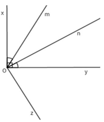 Trắc nghiệm Hai đường thẳng vuông góc có đáp án - Toán lớp 7 (ảnh 1)