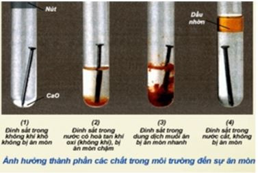 Trắc nghiệm Sự ăn mòn kim loại và bảo vệ kim loại không bị ăn mòn có đáp án - Hóa học lớp 9 (ảnh 1)