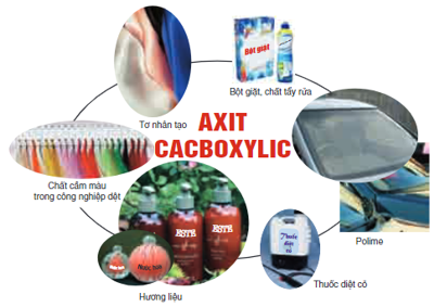 Lý thuyết Axit cacboxylic | Hóa học lớp 11 (ảnh 1)