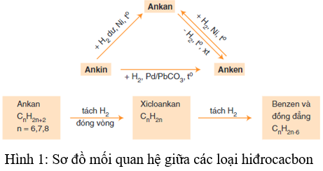 Lý thuyết Hệ thống hóa về hiđrocacbon | Hóa học lớp 11 (ảnh 1)