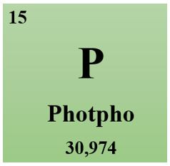 Lý thuyết Hóa 11 Bài 10: Photpho | Hóa học lớp 11 (ảnh 1)