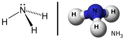 Lý thuyết Hóa 11 Bài 8: Amoniac và muối amoni | Hóa học lớp 11 (ảnh 1)