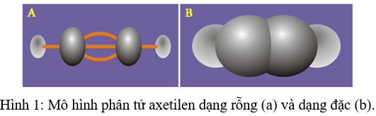 Mô hình phân tử Hidro đặc Cacbon đioxit rỗng Metan đặc Etilen rỗng  SGK  Hóa học lớp 8  YouTube