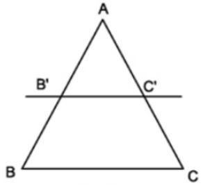 Lý thuyết Ôn tập chương 3 Tam giác đồng dạngchi tiết – Toán lớp 8 (ảnh 1)