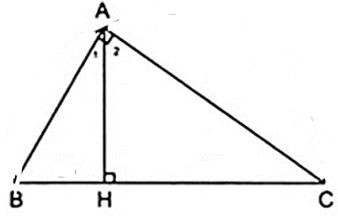 Lý thuyết Các trường hợp đồng dạng của tam giác vuông chi tiết – Toán lớp 8 (ảnh 1)