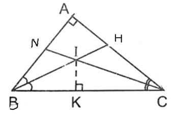Lý thuyết Các trường hợp đồng dạng của tam giác vuông chi tiết – Toán lớp 8 (ảnh 1)