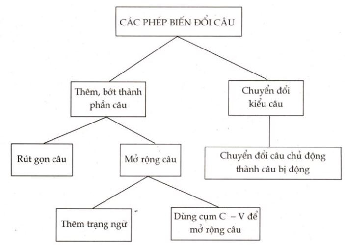 Soạn bài Ôn tập phần tiếng Việt (tiếp theo) hay, ngắn gọn (ảnh 1)