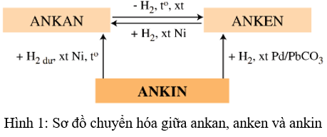 Lý thuyết Luyện tập : Ankin | Hóa học lớp 11 (ảnh 1)