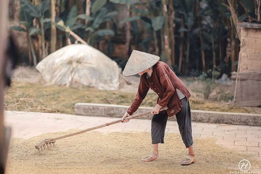 Tác giả Nguyễn Văn Song - Cuộc đời và sự nghiệp (ảnh 1)