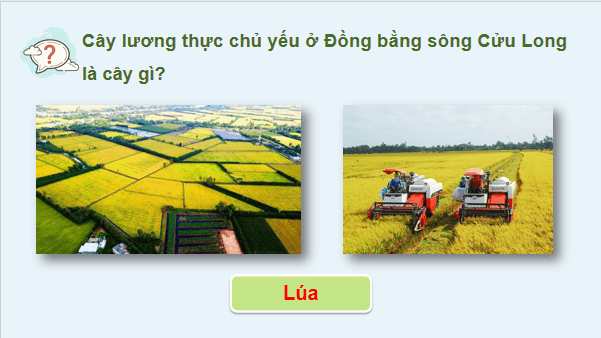 Giáo án điện tử Địa lí 12 Bài 25 (Cánh diều): Sử dụng hợp lí tự nhiên để phát triển kinh tế ở Đồng bằng sông Cửu Long (ảnh 1)