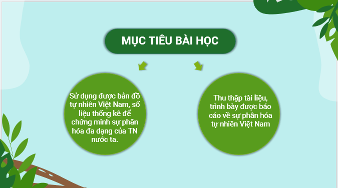 Giáo án điện tử Địa lí 12 Bài 4 (Kết nối tri thức): Thực hành: Viết báo cáo về sự phân hóa tự nhiên Việt Nam (ảnh 1)