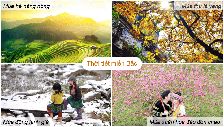 Giáo án điện tử Địa lí 12 Bài 2 (Chân trời sáng tạo): Thiên nhiên nhiệt đới ẩm gió mùa (ảnh 1)