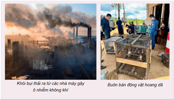 Giáo án điện tử Địa lí 12 Bài 6 (Chân trời sáng tạo): Thực hành: Sử dụng hợp lí tài nguyên và bảo vệ môi trường địa phương (ảnh 1)