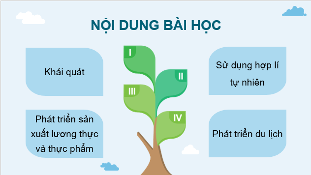 Giáo án điện tử Địa lí 12 Bài 34 (Chân trời sáng tạo): Sử dụng hợp lí tự nhiên để phát triển kinh tế ở Đồng bằng sông Cửu Long (ảnh 1)