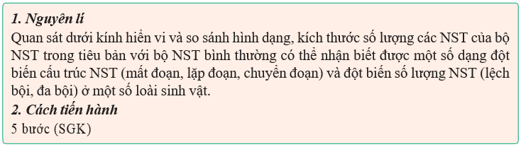 Giáo án điện tử Sinh học 12 (Kết nối tri thức): Bài 14: Thực hành: Quan sát một số dạng đột biến nhiễm sắc thể (ảnh 1)