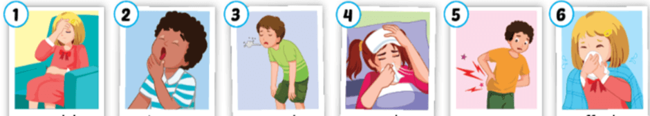 Tiếng Anh lớp 5 Unit 5: Health - ilearn Smart Start (ảnh 13)