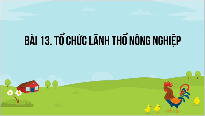 Giáo án điện tử Địa lí 12 Bài 13 (Kết nối tri thức): Tổ chức lãnh thổ nông nghiệp (ảnh 1)