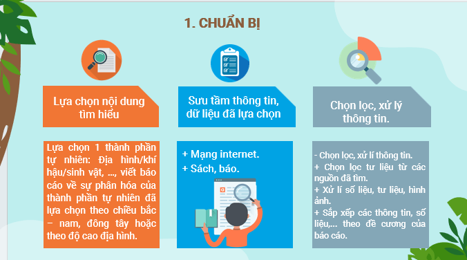 Giáo án điện tử Địa lí 12 Bài 4 (Kết nối tri thức): Thực hành: Viết báo cáo về sự phân hóa tự nhiên Việt Nam (ảnh 1)
