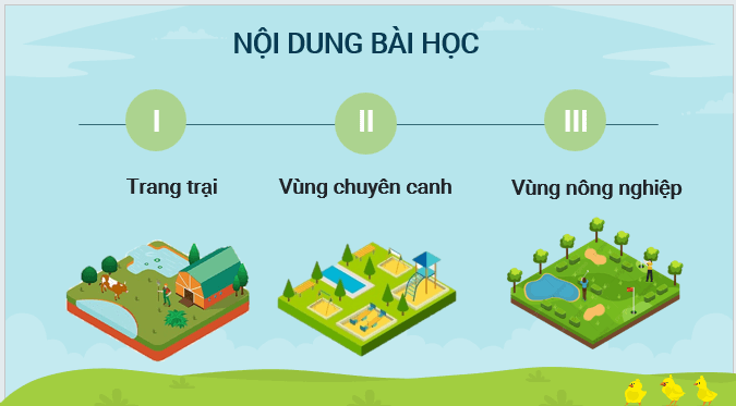 Giáo án điện tử Địa lí 12 Bài 13 (Kết nối tri thức): Tổ chức lãnh thổ nông nghiệp (ảnh 1)