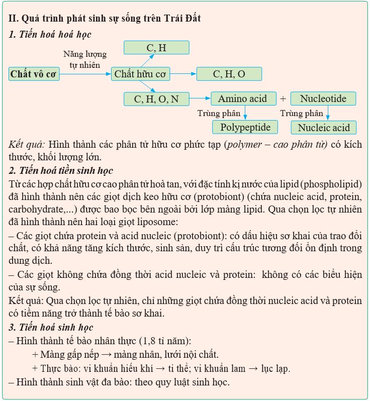 Giáo án điện tử Sinh học 12 (Kết nối tri thức): Bài 22: Tiến hoá lớn và quá trình phát sinh chủng loại (ảnh 1)