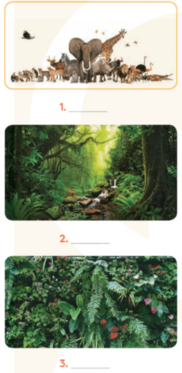 Tiếng Anh 9 Unit 7: Natural wonders of the world - Global Success (ảnh 7)