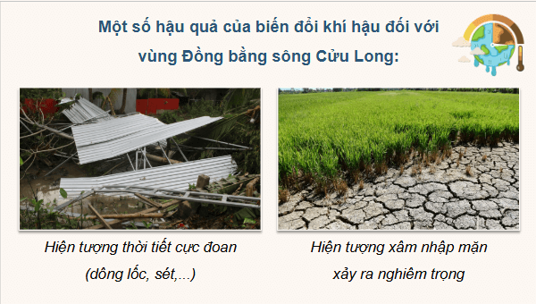 Giáo án điện tử Địa lí 12 Bài 26 (Cánh diều): Thực hành: Tìm hiểu ảnh hưởng của biến đổi khí hậu đối với Đồng bằng sông Cửu Long và các giải pháp ứng phó (ảnh 1)