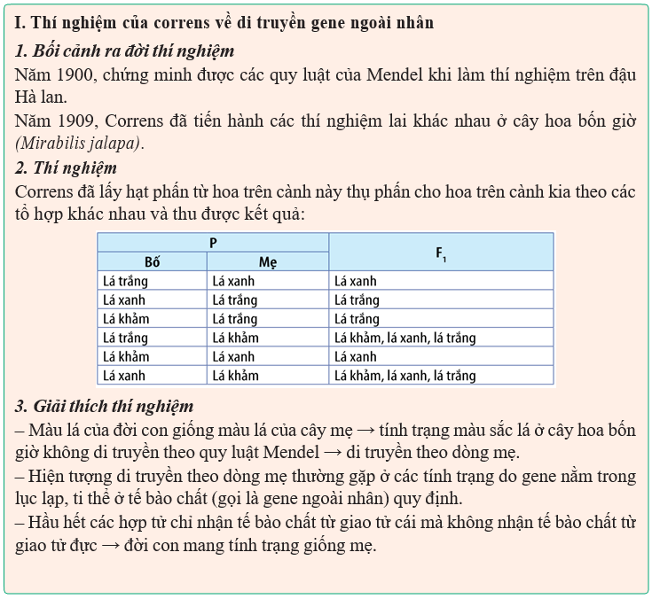 Giáo án điện tử Sinh học 12 (Kết nối tri thức): Bài 15: Di truyền gene ngoài nhân (ảnh 1)