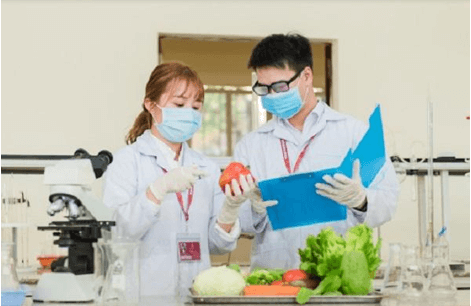Giáo án điện tử KTPL 11 Bài 3 (Cánh diều): Thị trường lao động (ảnh 1)