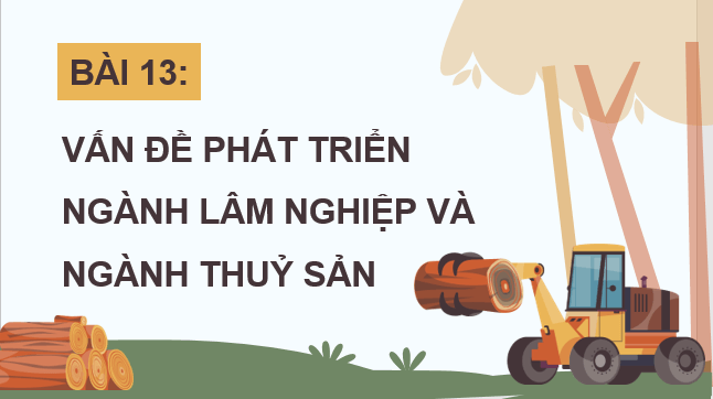 Giáo án điện tử Địa lí 12 Bài 13 (Chân trời sáng tạo): Vấn đề phát triển lâm nghiệp và thuỷ sản (ảnh 1)