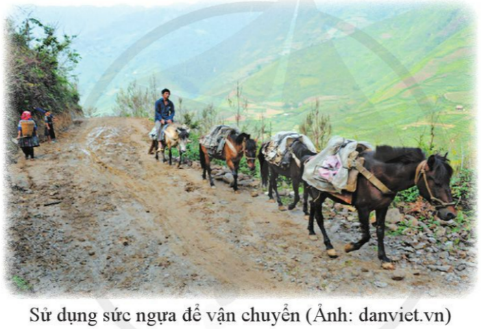 Soạn bài Phương tiện vận chuyển của các dân tộc thiểu số Việt Nam ngày xưa - Ngắn nhất Cánh diều (ảnh 1)