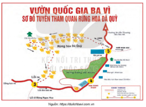 Soạn bài Thực hành tiếng Việt lớp 10 trang 89 Tập 2 - Ngắn nhất Kết nối tri thức (ảnh 1)