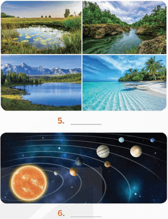 Tiếng Anh 9 Unit 10: Planet Earth - Global Success (ảnh 2)