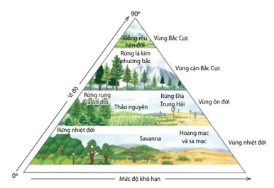 Giáo án điện tử Sinh học 12 (Kết nối tri thức): Bài 31: Sinh quyển, khu sinh học và chu trình sinh - địa - hóa (ảnh 1)