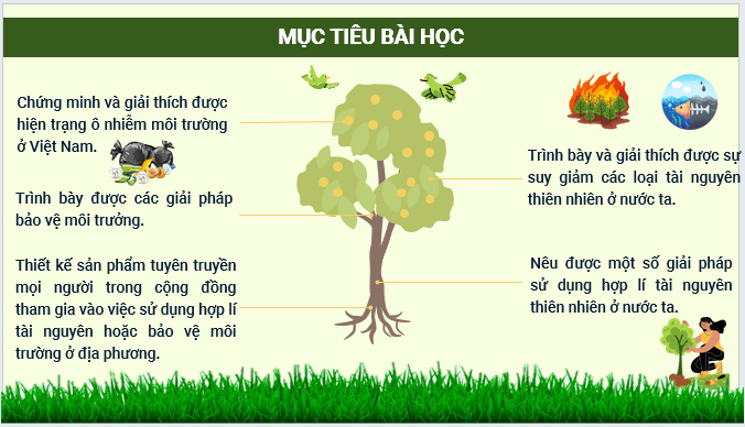 Giáo án điện tử Địa lí 12 Bài 5 (Kết nối tri thức): Vấn đề sử dụng hợp lí tài nguyên thiên nhiên và bảo vệ môi trường (ảnh 1)