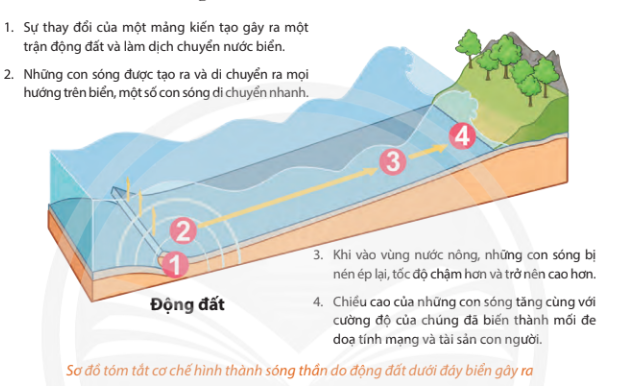 Bố cục Bạn đã biết gì về sóng thần? (Chân trời sáng tạo) chính xác nhất (ảnh 1)