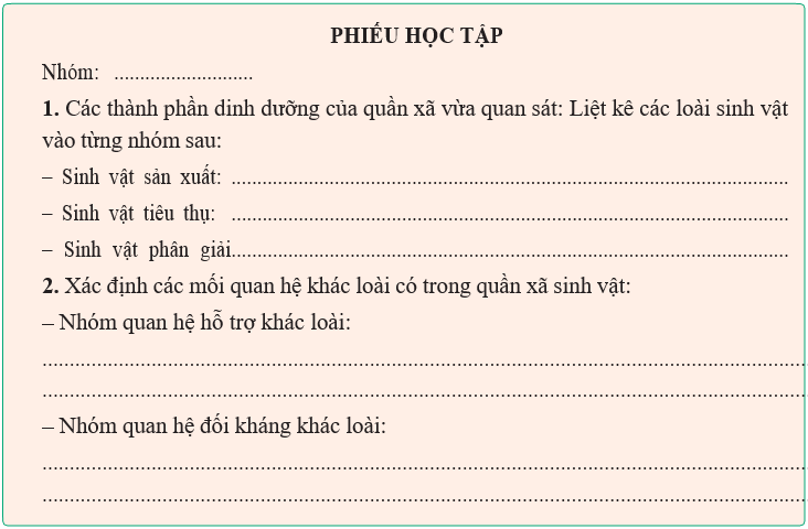 Giáo án điện tử Sinh học 12 (Kết nối tri thức): Bài 27: Thực hành: Tìm hiểu cấu trúc dinh dưỡng của quần xã trong tự nhiên (ảnh 1)