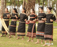 Giáo án điện tử Địa lí 12 Bài 30 (Chân trời sáng tạo): Khai thác thế mạnh để phát triển kinh tế ở Tây Nguyên (ảnh 1)