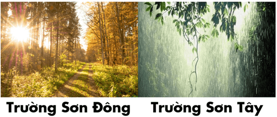 Giáo án điện tử Địa lí 12 Bài 2 (Kết nối tri thức): Thiên nhiên nhiệt đới ẩm gió mùa (ảnh 1)