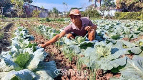 Giáo án điện tử Địa lí 12 Bài 11 (Kết nối tri thức): Vấn đề phát triển ngành nông nghiệp (ảnh 1)