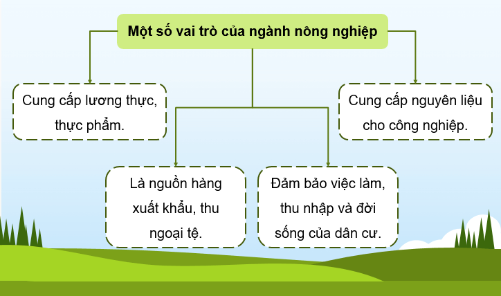 Giáo án điện tử Địa lí 12 Bài 14 (Chân trời sáng tạo): Tổ chức lãnh thổ nông nghiệp (ảnh 1)