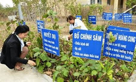Giáo án điện tử Địa lí 12 Bài 11 (Kết nối tri thức): Vấn đề phát triển ngành nông nghiệp (ảnh 1)