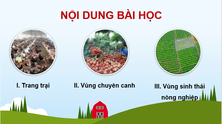 Giáo án điện tử Địa lí 12 Bài 14 (Chân trời sáng tạo): Tổ chức lãnh thổ nông nghiệp (ảnh 1)