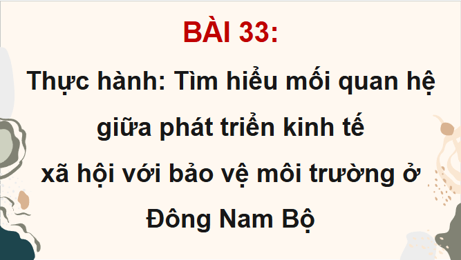 Giáo án điện tử Địa lí 12 Bài 33 (Chân trời sáng tạo): Thực hành: Tìm hiểu mối quan hệ giữa phát triển kinh tế - xã hội với bảo vệ môi trường ở Đông Nam Bộ (ảnh 1)