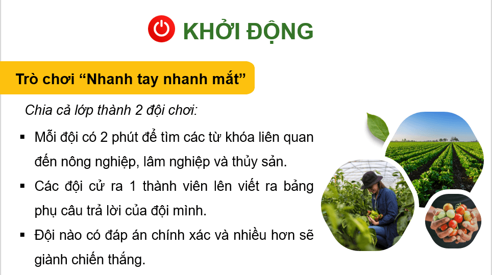 Gi&aacute;o &aacute;n điện tử Địa l&iacute; 12 B&agrave;i 15 (Ch&acirc;n trời s&aacute;ng tạo): Thực h&agrave;nh: T&igrave;m hiểu vai tr&ograve;, t&igrave;nh h&igrave;nh ph&aacute;t triển v&agrave; chuyển dịch cơ cấu ng&agrave;nh n&ocirc;ng nghiệp, l&acirc;m nghiệp, thuỷ sản (ảnh 1)